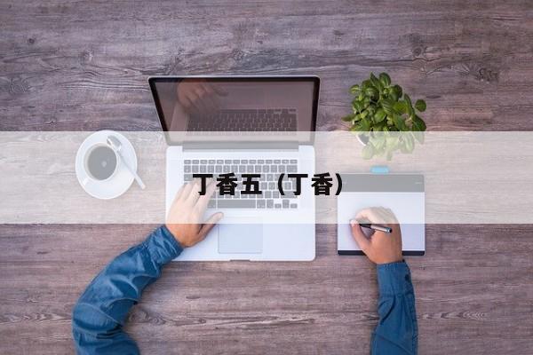 丁香五（丁香）