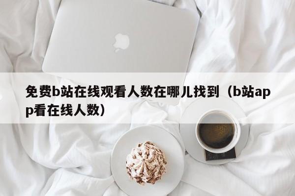 免费b站在线观看人数在哪儿找到（b站app看在线人数）