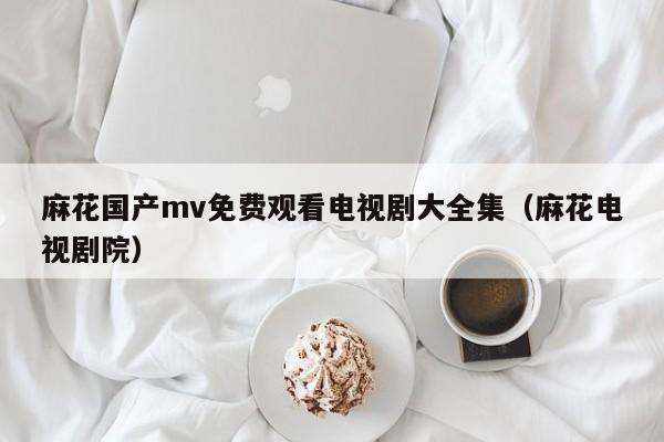 麻花国产mv免费观看电视剧大全集（麻花电视剧院）