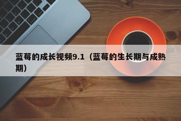 蓝莓的成长视频9.1（蓝莓的生长期与成熟期）