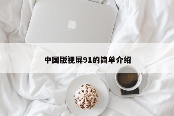 中国版视屏91的简单介绍