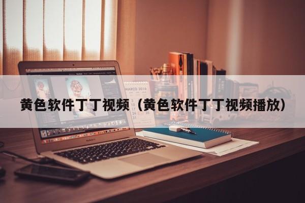 黄色软件丁丁视频（黄色软件丁丁视频播放）
