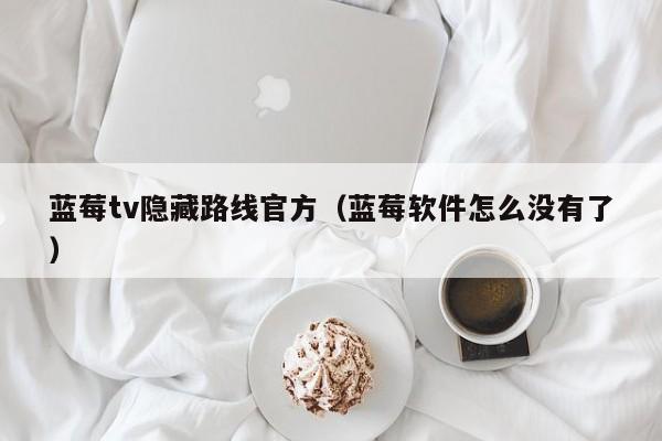 蓝莓tv隐藏路线官方（蓝莓软件怎么没有了）