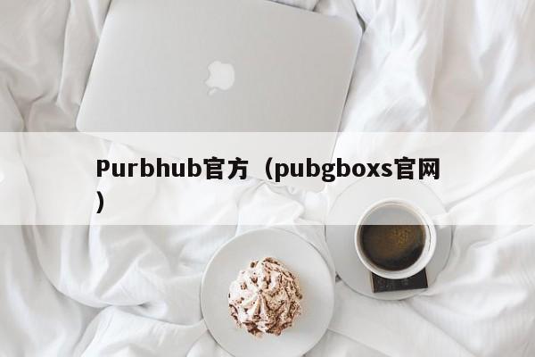 Purbhub官方（pubgboxs官网）