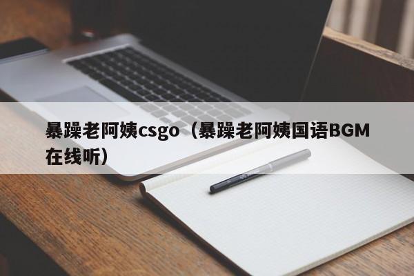 暴躁老阿姨csgo（暴躁老阿姨国语BGM在线听）