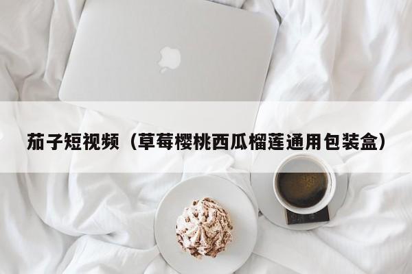 茄子短视频（草莓樱桃西瓜榴莲通用包装盒）