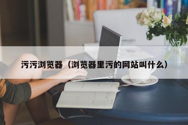 污污浏览器（浏览器里污的网站叫什么）