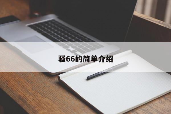 骚66的简单介绍