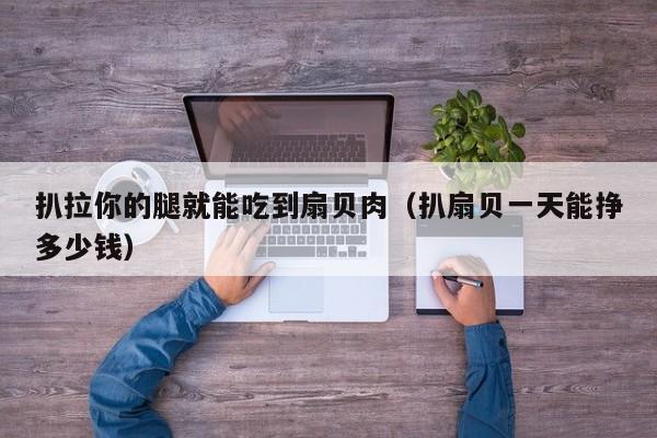 扒拉你的腿就能吃到扇贝肉（扒扇贝一天能挣多少钱）