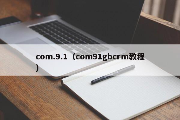 com.9.1（com91gbcrm教程）