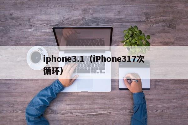 iphone3.1（iPhone317次循环）