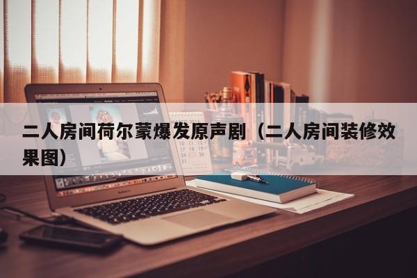 二人房间荷尔蒙爆发原声剧（二人房间装修效果图）