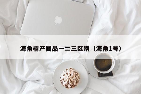 海角精产国品一二三区别（海角1号）