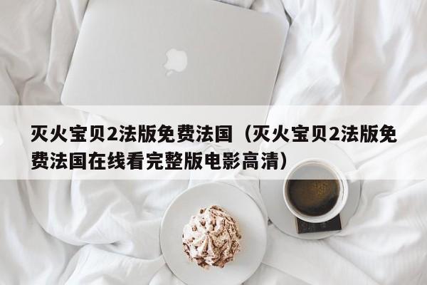 灭火宝贝2法版免费法国（灭火宝贝2法版免费法国在线看完整版电影高清）