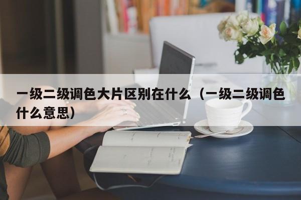 一级二级调色大片区别在什么（一级二级调色什么意思）