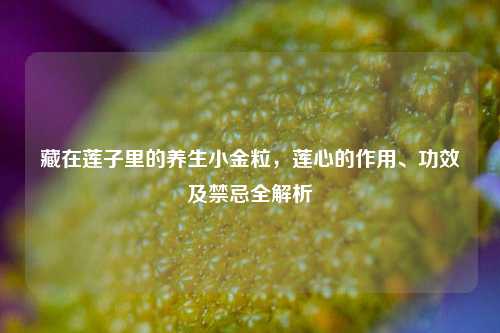 藏在莲子里的养生小金粒，莲心的作用、功效及禁忌全解析