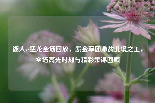 湖人vs猛龙全场回放，紫金军团激战北境之王，全场高光时刻与精彩集锦回顾