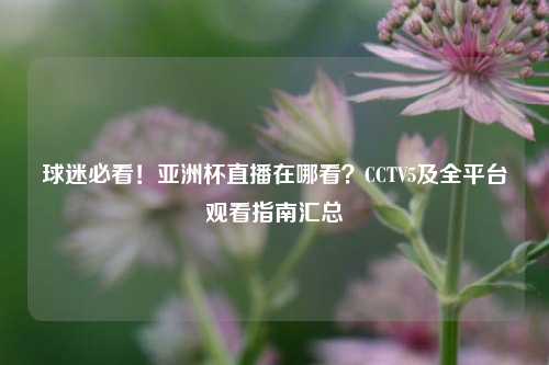 球迷必看！亚洲杯直播在哪看？CCTV5及全平台观看指南汇总