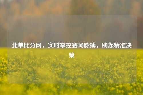北单比分网，实时掌控赛场脉搏，助您精准决策