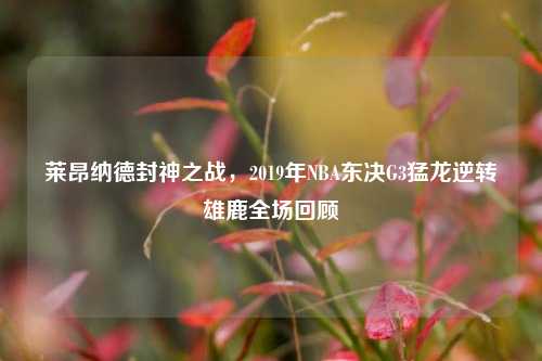 莱昂纳德封神之战，2019年NBA东决G3猛龙逆转雄鹿全场回顾
