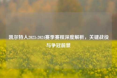 凯尔特人2023-2024赛季赛程深度解析，关键战役与争冠前景