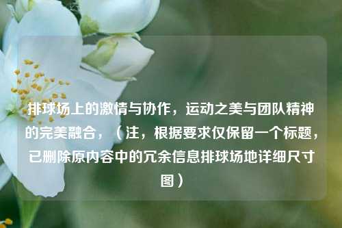 排球场上的     与协作，运动之美与团队精神的完美融合，（注，根据要求仅保留一个标题，已删除原内容中的冗余信息排球场地详细尺寸图）