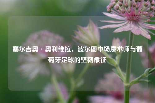 塞尔吉奥·奥利维拉，波尔图中场魔术师与葡萄牙足球的坚韧象征