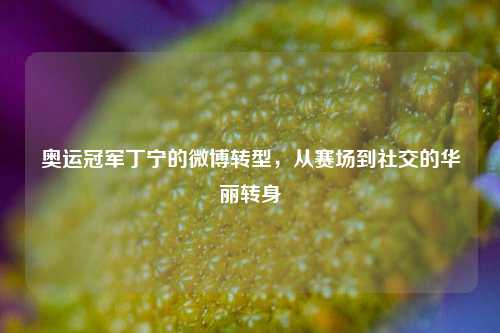 奥运冠军丁宁的微博转型，从赛场到社交的华丽转身