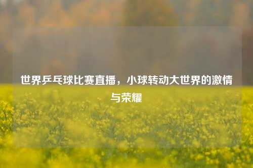 世界乒乓球比赛直播，小球转动大世界的     与荣耀