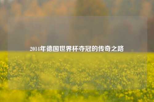 2014年德国世界杯夺冠的传奇之路
