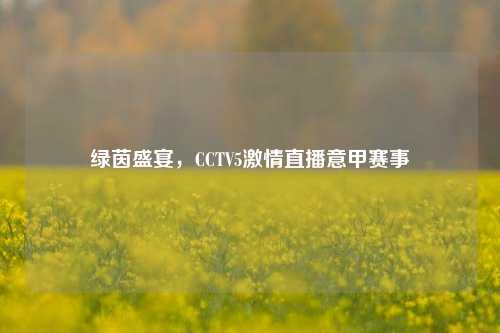 绿茵盛宴，CCTV5     直播意甲赛事