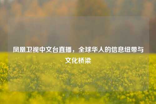 凤凰卫视中文台直播，全球华人的信息纽带与文化桥梁