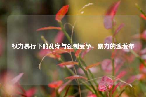 权力暴行下的乱穿与强制受孕，暴力的遮羞布