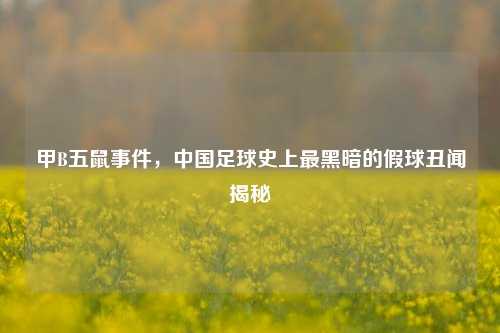 甲B五鼠事件，中国足球史上最黑暗的假球丑闻揭秘