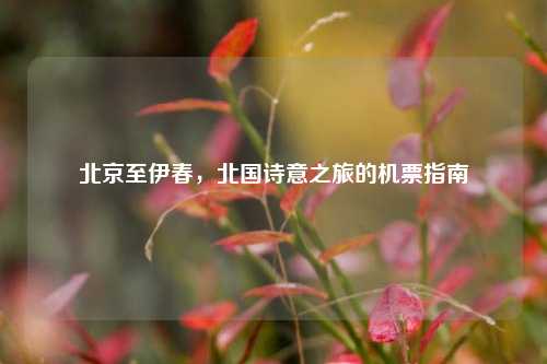 北京至伊春，北国诗意之旅的机票指南