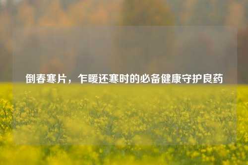 倒春寒片，乍暖还寒时的必备健康守护良药