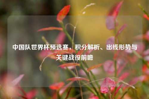 中国队世界杯预选赛，积分解析、出线形势与关键战役前瞻