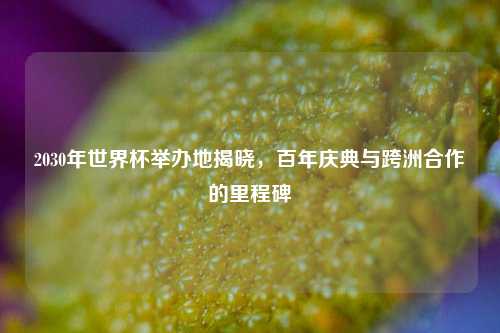 2030年世界杯举办地揭晓，百年庆典与跨洲合作的里程碑