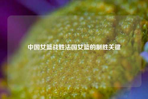中国女篮战胜法国女篮的制胜关键