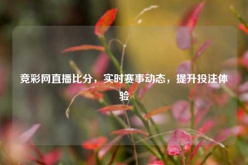 竞彩网直播比分，实时赛事动态，提升投注体验
