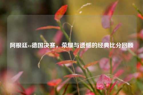 阿根廷vs德国决赛，荣耀与遗憾的经典比分回顾