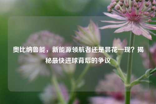 奥比纳鲁能，新能源领航者还是昙花一现？揭秘最快进球背后的争议