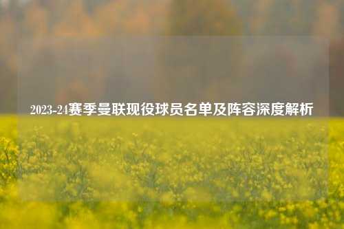 2023-24赛季曼联现役球员名单及阵容深度解析