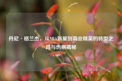 丹尼·格兰杰，从NBA新星到商业精英的转型之路与伤病揭秘