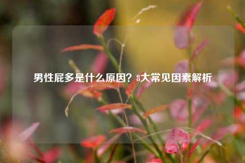 男性屁多是什么原因？8大常见因素解析