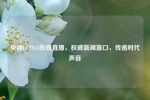 央视CCTV13在线直播，权威新闻窗口，传递时代声音