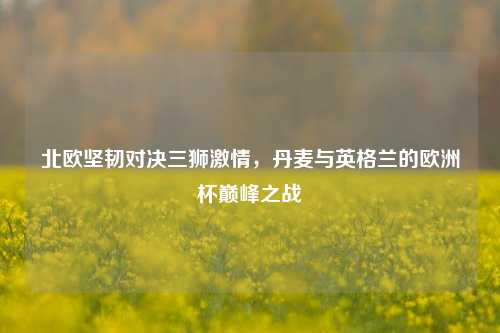 北欧坚韧对决三狮     ，丹麦与英格兰的欧洲杯巅峰之战