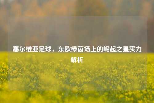 塞尔维亚足球，东欧绿茵场上的崛起之星实力解析