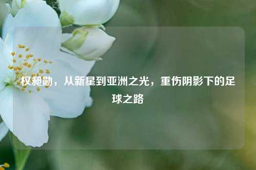 权昶勋，从新星到亚洲之光，重伤阴影下的足球之路