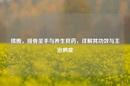 续断，接骨圣手与养生良药，详解其功效与主治病症